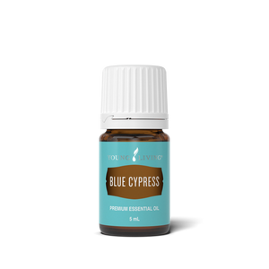 Blue Cypress Essential Oil 5 ml bottle