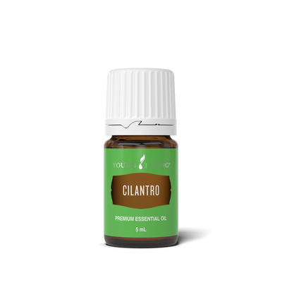 Cilantro Essential Oil 5 ml bottle