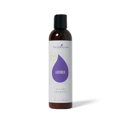 Shampoo - Lavender, 8 oz