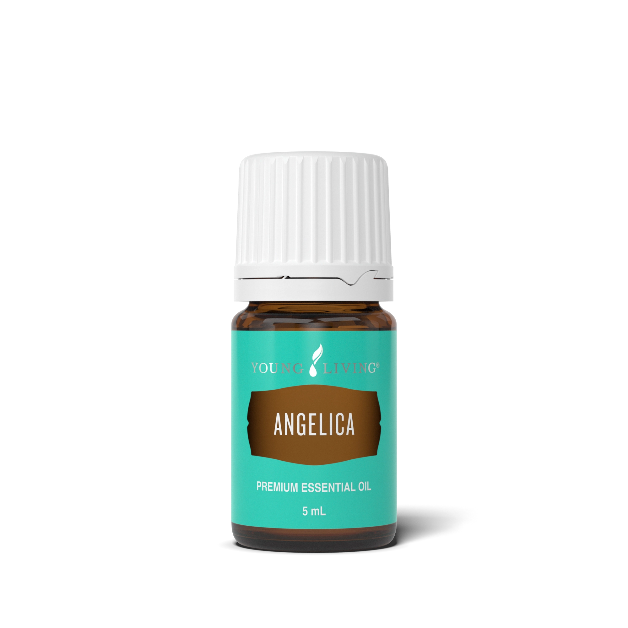 Angelica Essential Oil 5 ml bottle