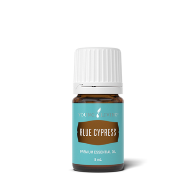 Blue Cypress Essential Oil 5 ml bottle