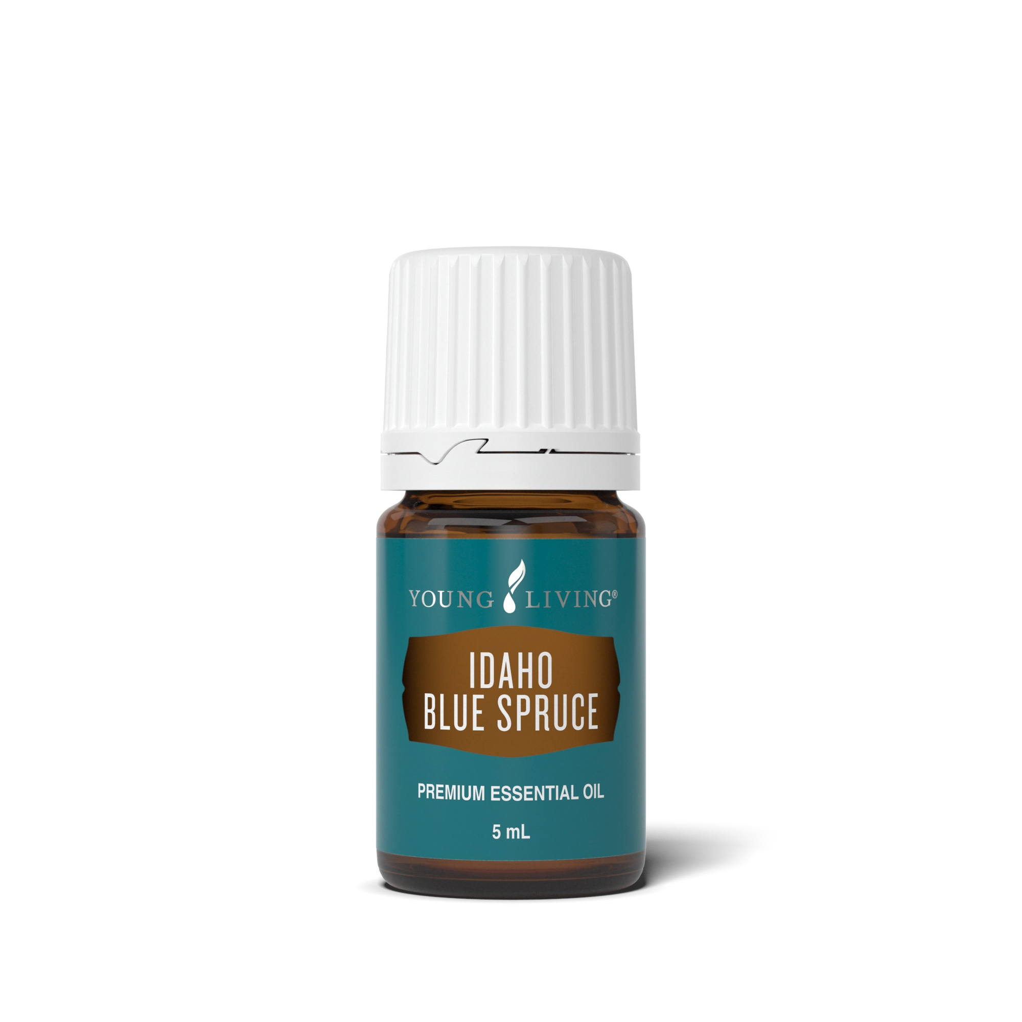 Idaho Blue Spruce Essential Oil 5 ml bottle