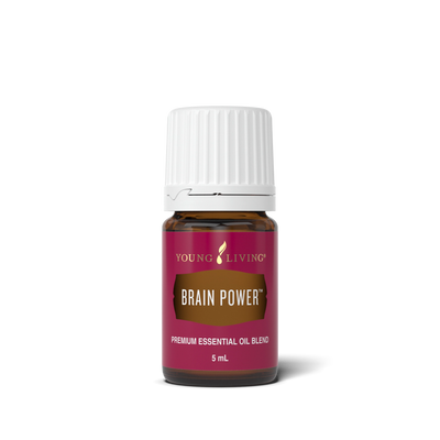 Brain Power Essential Oil 5 ml bottle