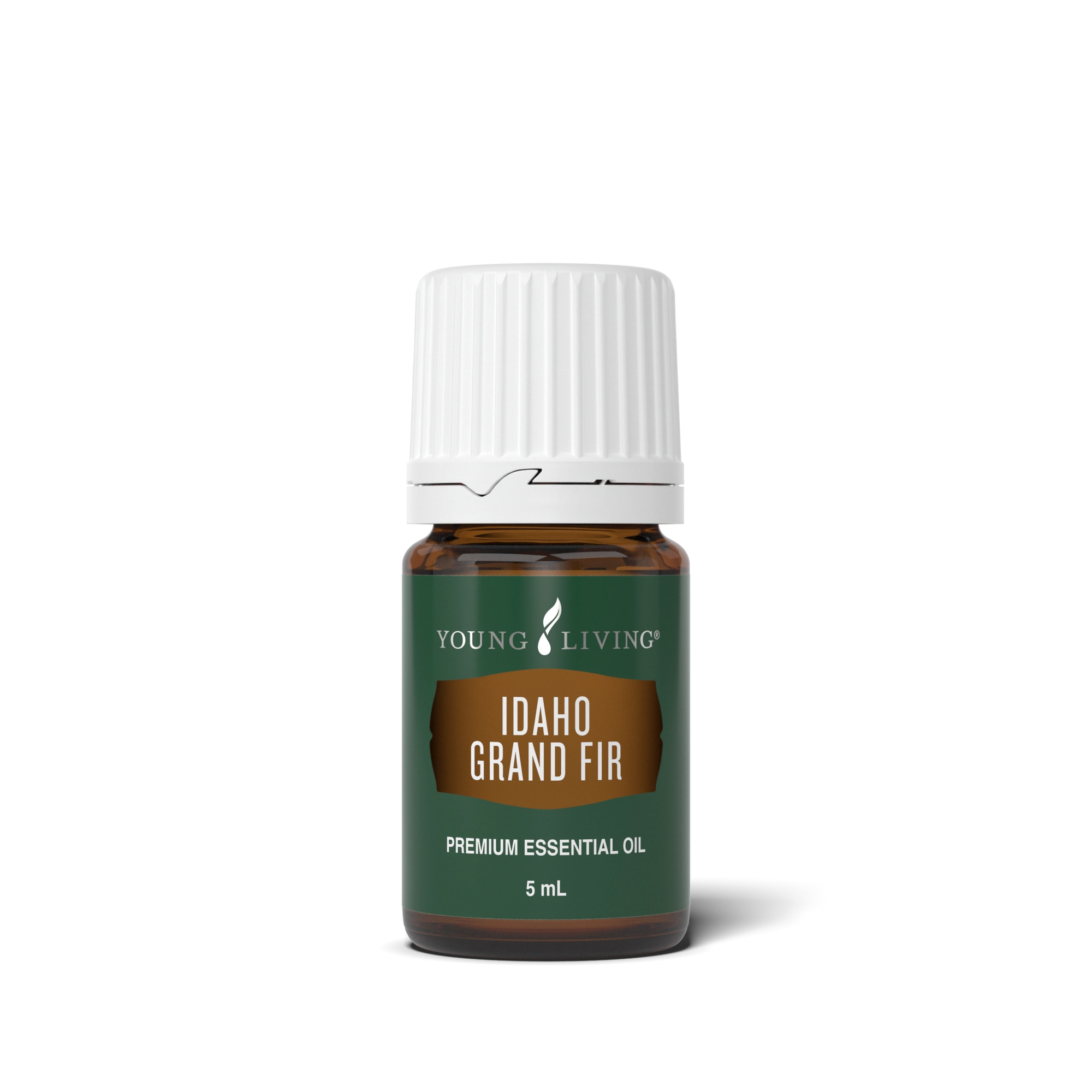 Idaho Grand Fir Essential Oil 5 ml bottle
