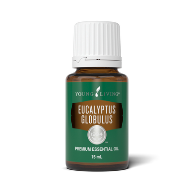 Eucalyptus Globulus Essential Oil 15 ml bottle