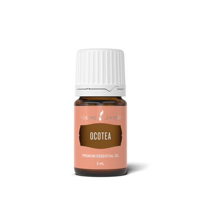 Ocotea Essential Oil 5 ml bottle