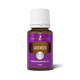 Lavender Essential Oil