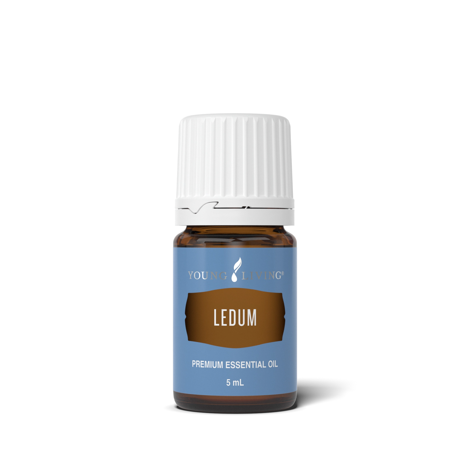 Ledum Essential Oil 5 ml bottle