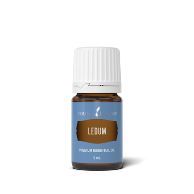 Ledum Essential Oil 5 ml bottle