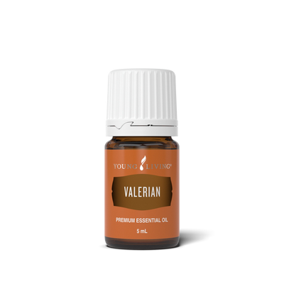 Valerian Essential Oil 5 ml bottle