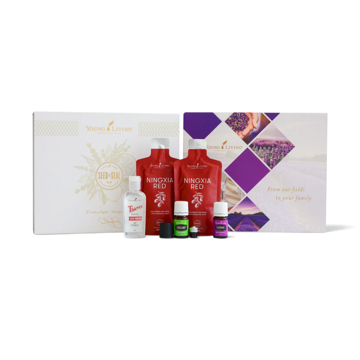Basic Starter Bundle
