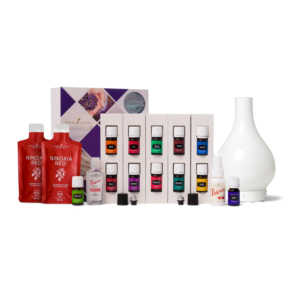 Lucia Starter Bundle