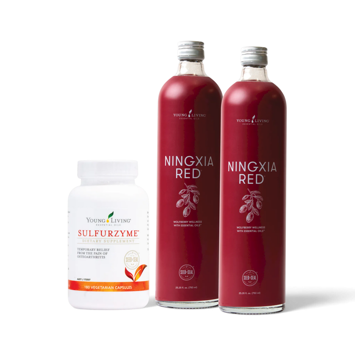 Energise & Recover