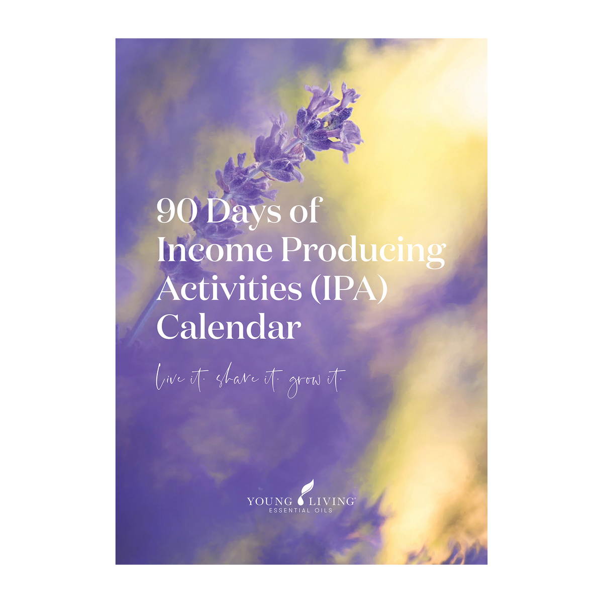90 Day Planner