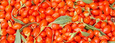 wolfberries