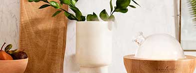 aria-diffuser-2