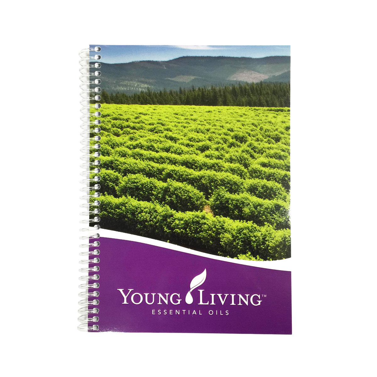 YLEO Notepad